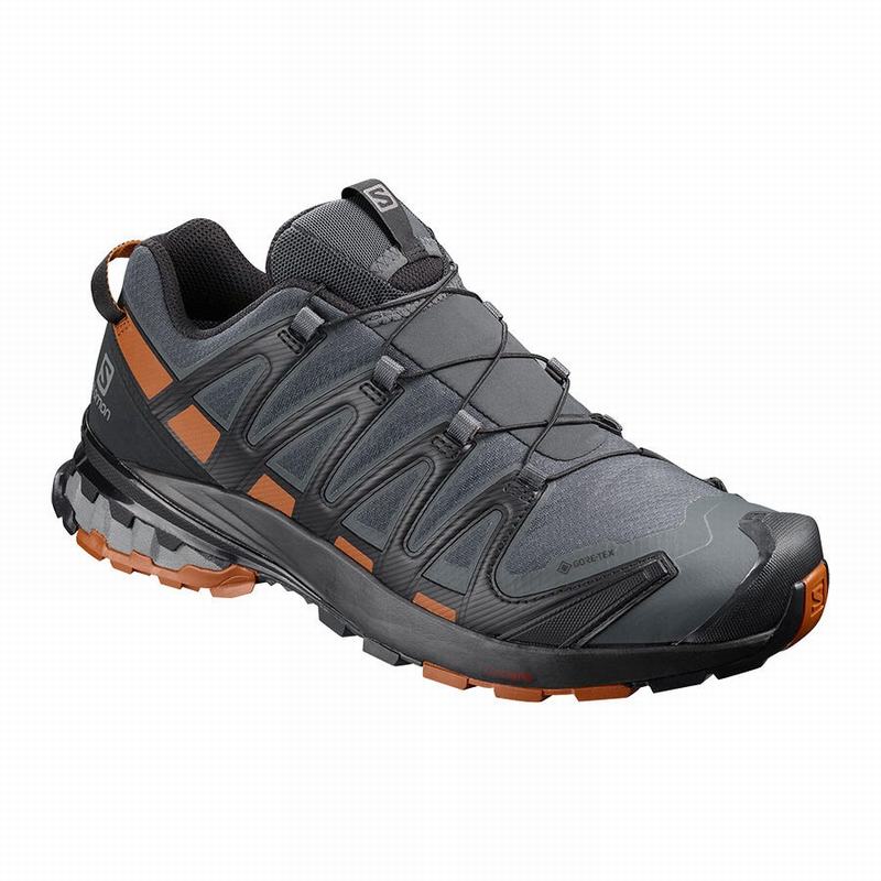 Chaussures De Trail Running Salomon Homme Bleu Foncé / Noir - Salomon XA PRO 3D V8 GORE-TEX - France